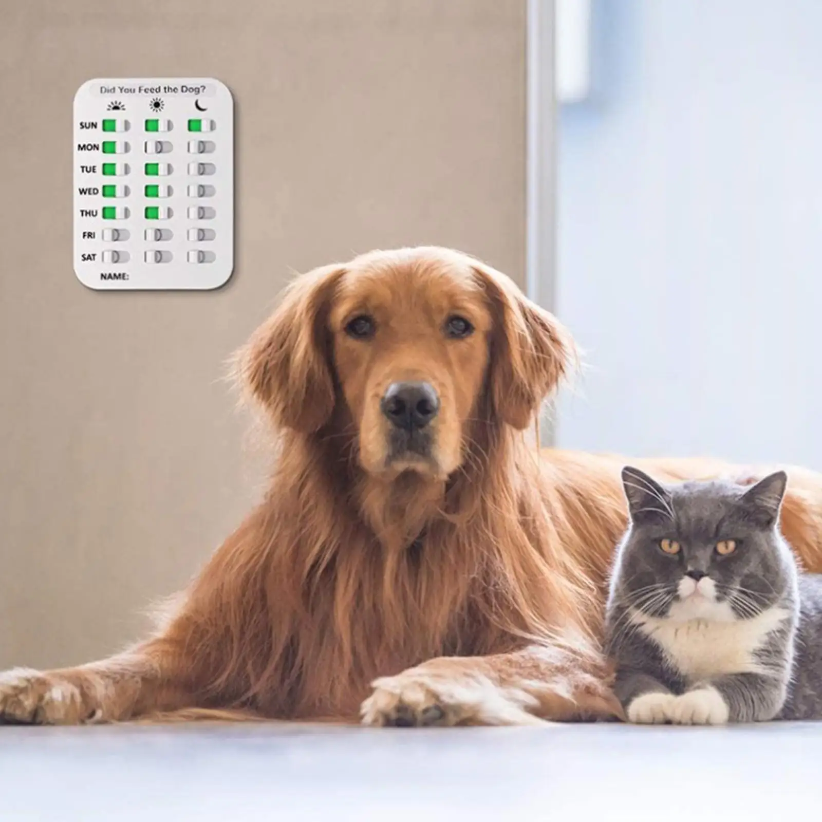 Dog Feeding Reminder Magnetic Reminder Sticker, Daily Indication Chart Feed Your Cat, Overfeeding or Obesity