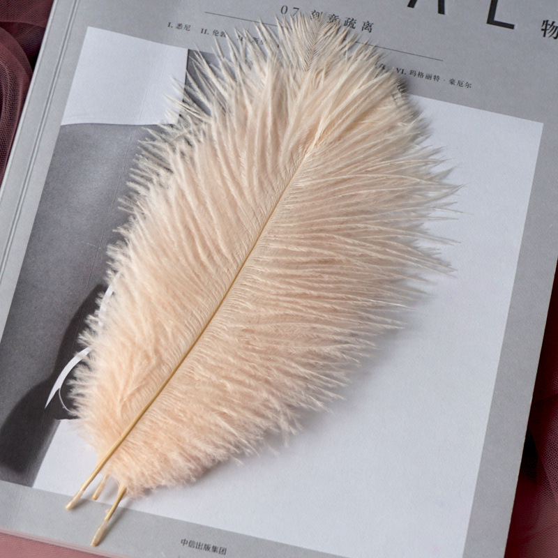 Title 6, INS Ostrich Feathers Photo Props Ornaments Man...