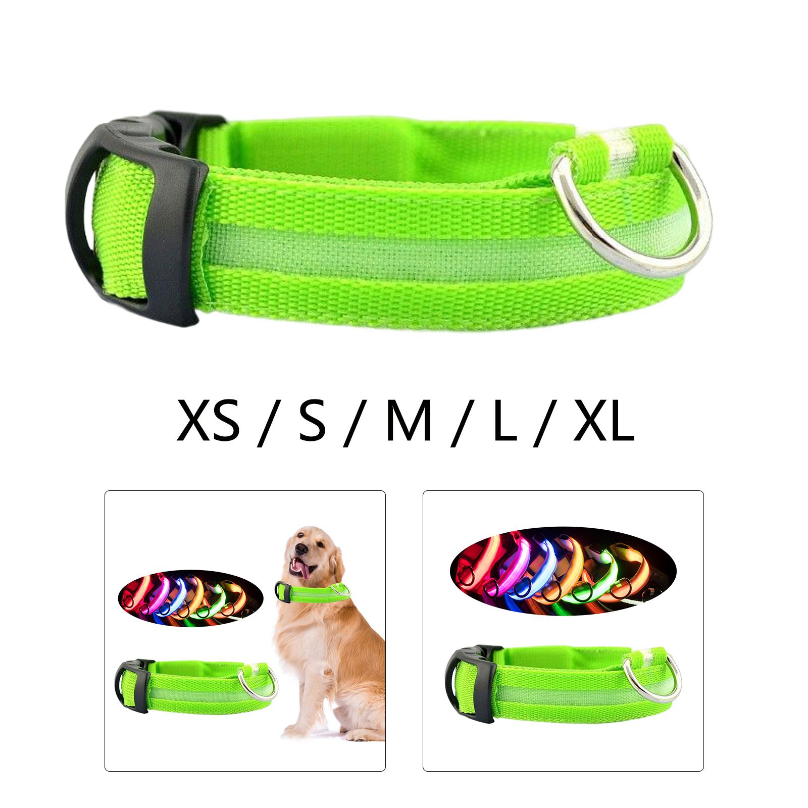 How Big Is A Puppy Collar