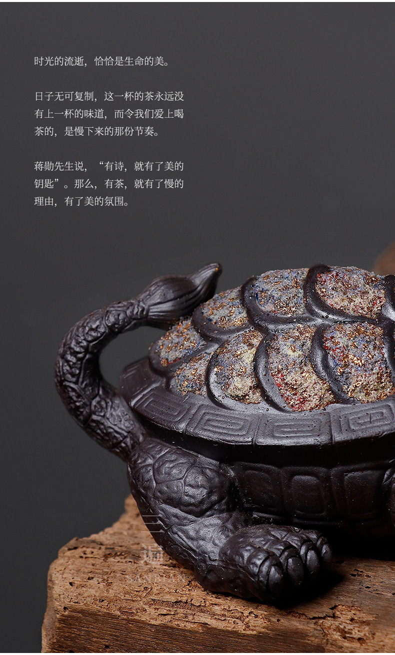 Rock and Mineral Colorful Dragon Turtle_13.jpg