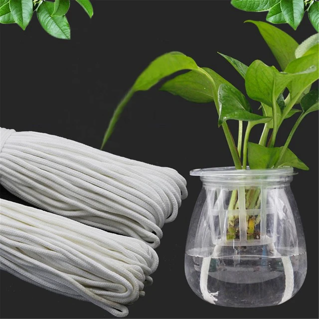 Absorbent Cotton Rope Watering Wick Cord Drip Irrigation System Washable  DIY 10m Potted Plant Sitter Self-Watering Garden Device - AliExpress