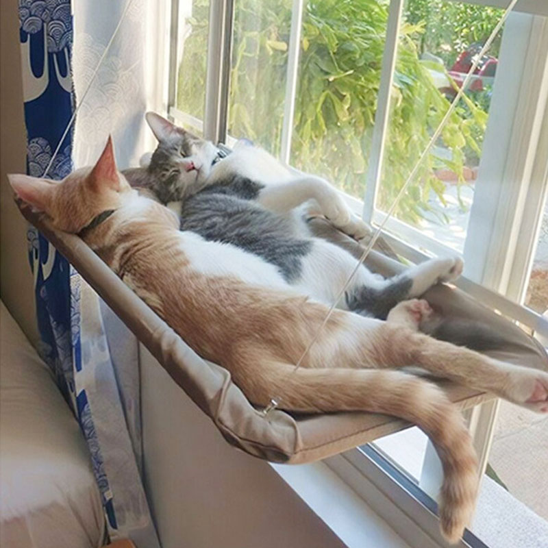 head_title lazy