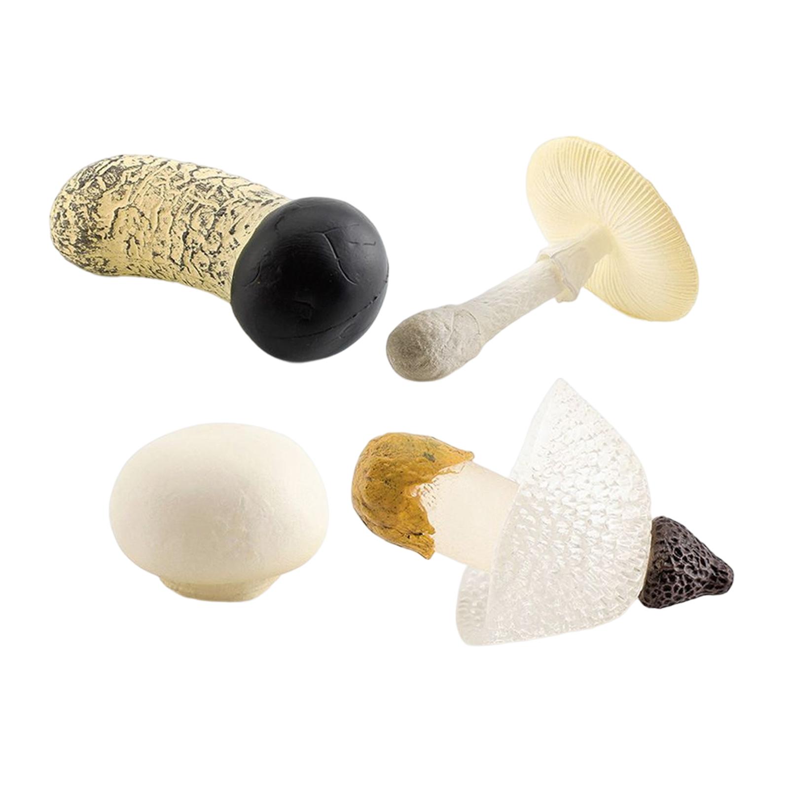 4 Pieces Mushroom Model Props Figurines for Micro Landscape Sand Table Scene Toddlers