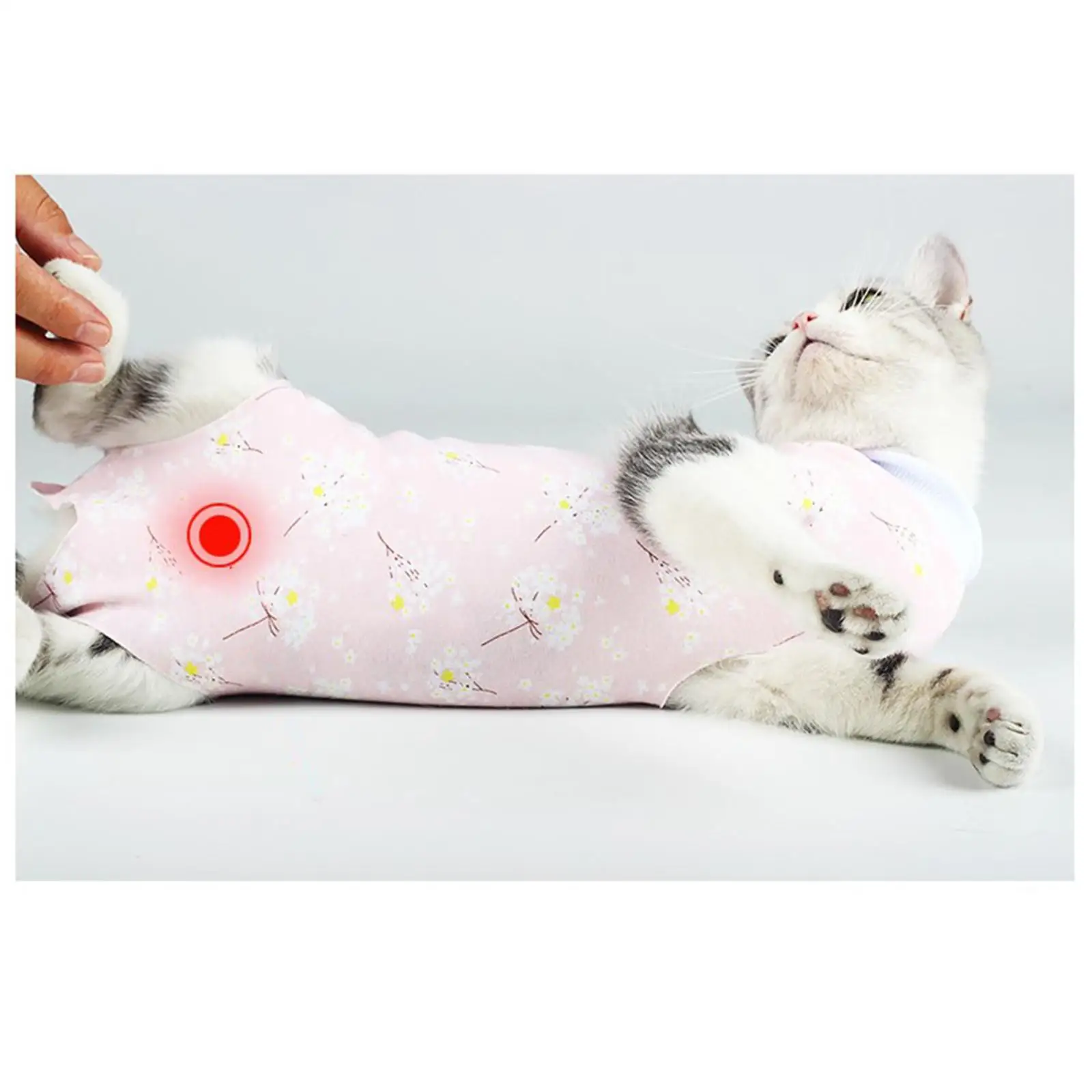Cat Recovery Suit Clothes Professional Vest Breathable Soft for Skin Abdominal Wounds After Surgery Puppy Home