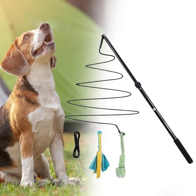 Interactive Dog Toys Dog Flirt Pole Toy Dog Chase And Tug Of War Toy Dog  Teaser Wand With Lure Chewing Toy For Outdoor Dogs Exercise, Training And  Pla