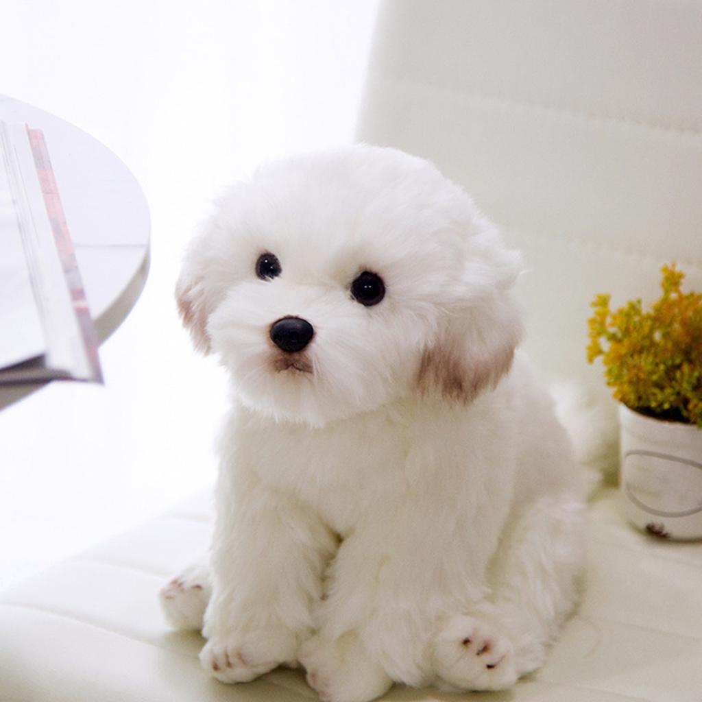 Simulation Stuffed Animal Dog Doll Toys Display Plush Pillow Creative Plush Puppy for Birthday Gifts Children Girls Kids Boys