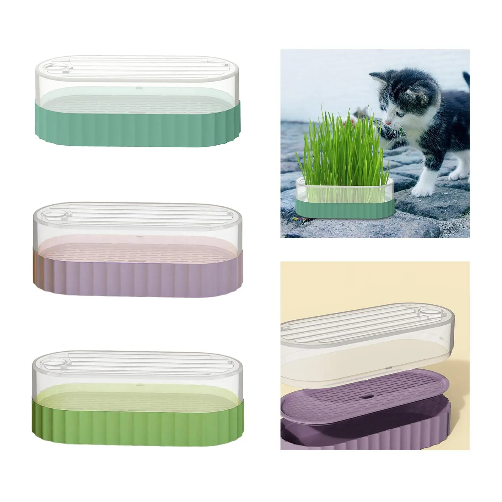 Plastic Seed Sprouter Tray for Garden Home Office Microgreens Sprouting Container Wheatgrass Grower Catnip Cultivation Box
