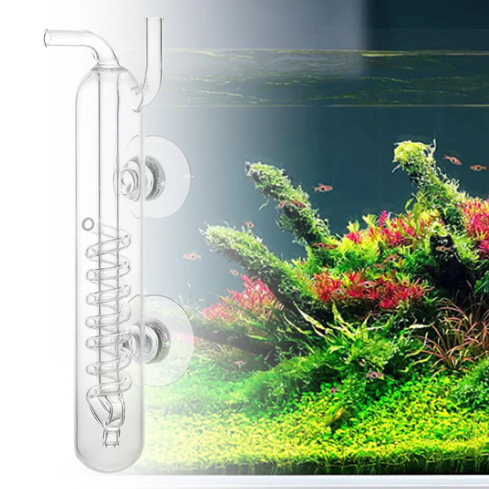 Fish Tank Plant CO2 Atomizer Glass CO2 Diffuser Clear for Aquarium Water Plants Home