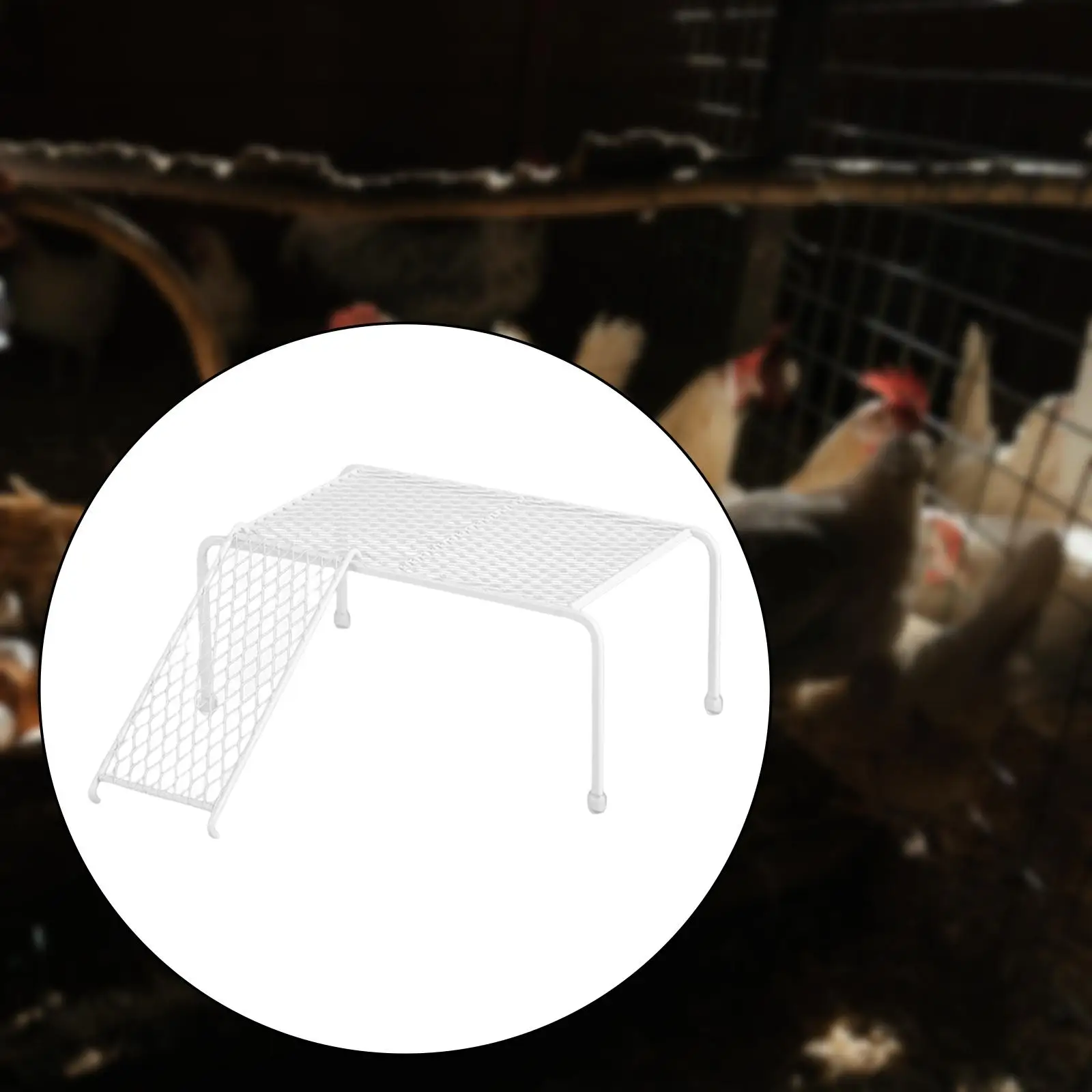 Stainless Steel Farmhouse Storage Rack Climbing Ladder White Durable Mesh Chicken Feeding Platform for Feeding Supplies