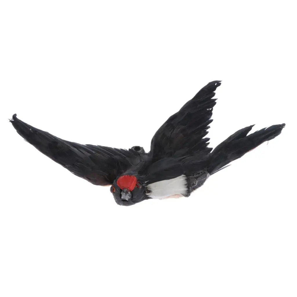 Adorable Decorative Artificial Flying Bird Figurine Kids Science Nature Toy