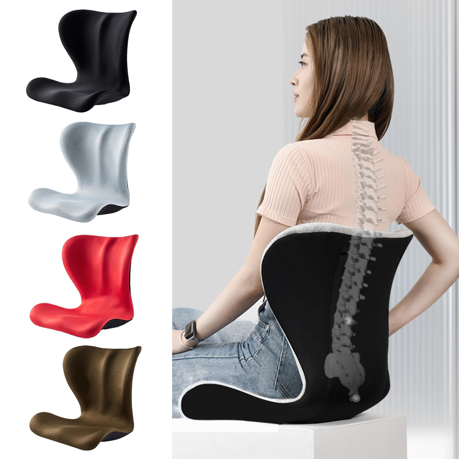 Car Lumbar Support Pillow Universal Washable Delicate Touch Car Lumbar Pad for Automotive Interior Office Chair recliner