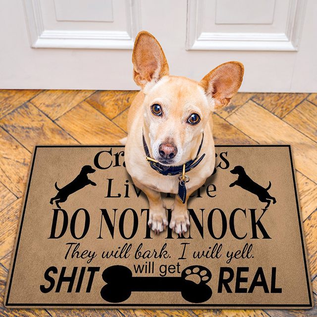 1pc Large Dog Letter Slogan Design Door Mat Cartoon Cute Anti-slip