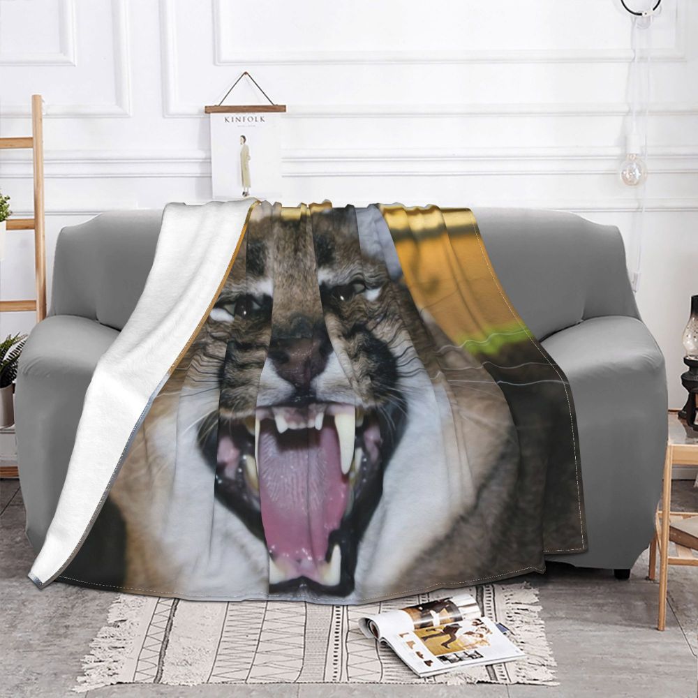 Cobija De Tigre Mexican Tiger Meme Blanket Velvet Textile Decor