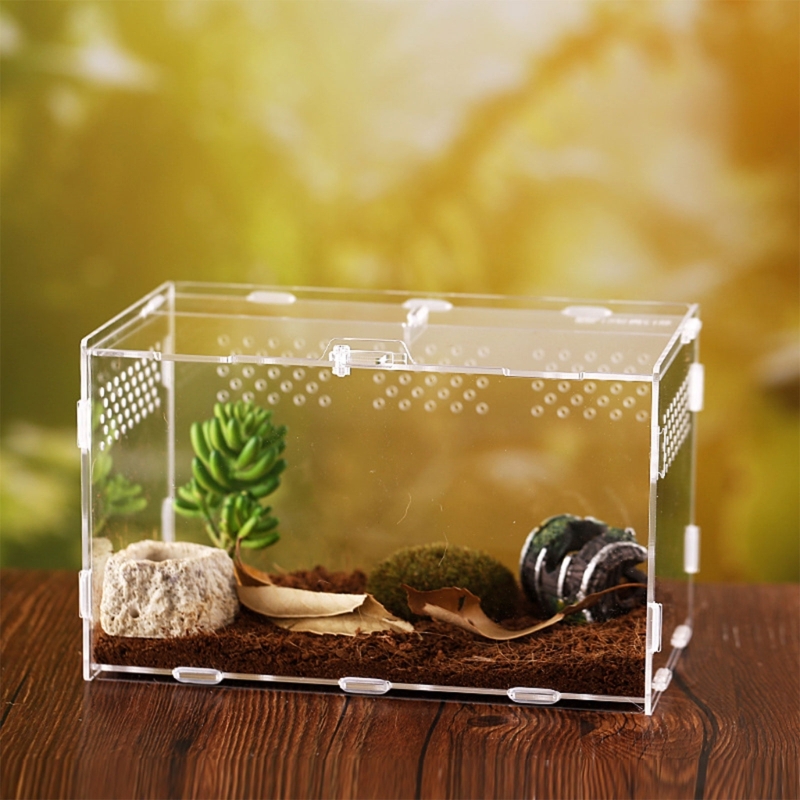 Title 8, Reptiles Feeding Box Acrylic Terrarium Containe...