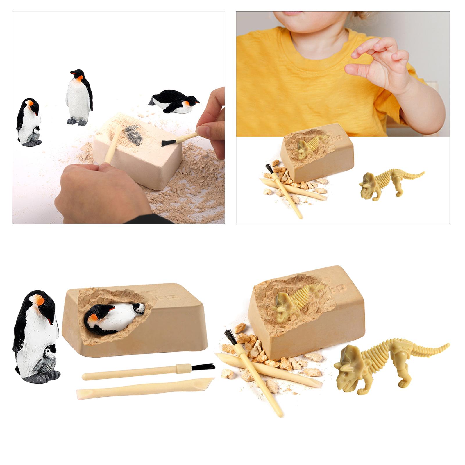Funny Excavation Toys, Preschool Learning Toy Mining Toy Nature Science Archeology Kit Nature Activities