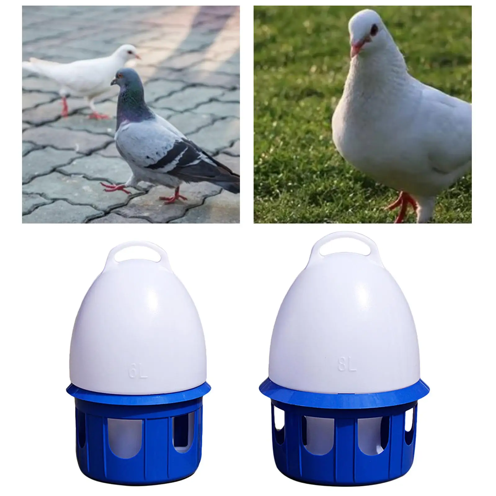 Portable Automatic Bird Water Dispenser Drinker Pigeon Waterer for Parakeet
