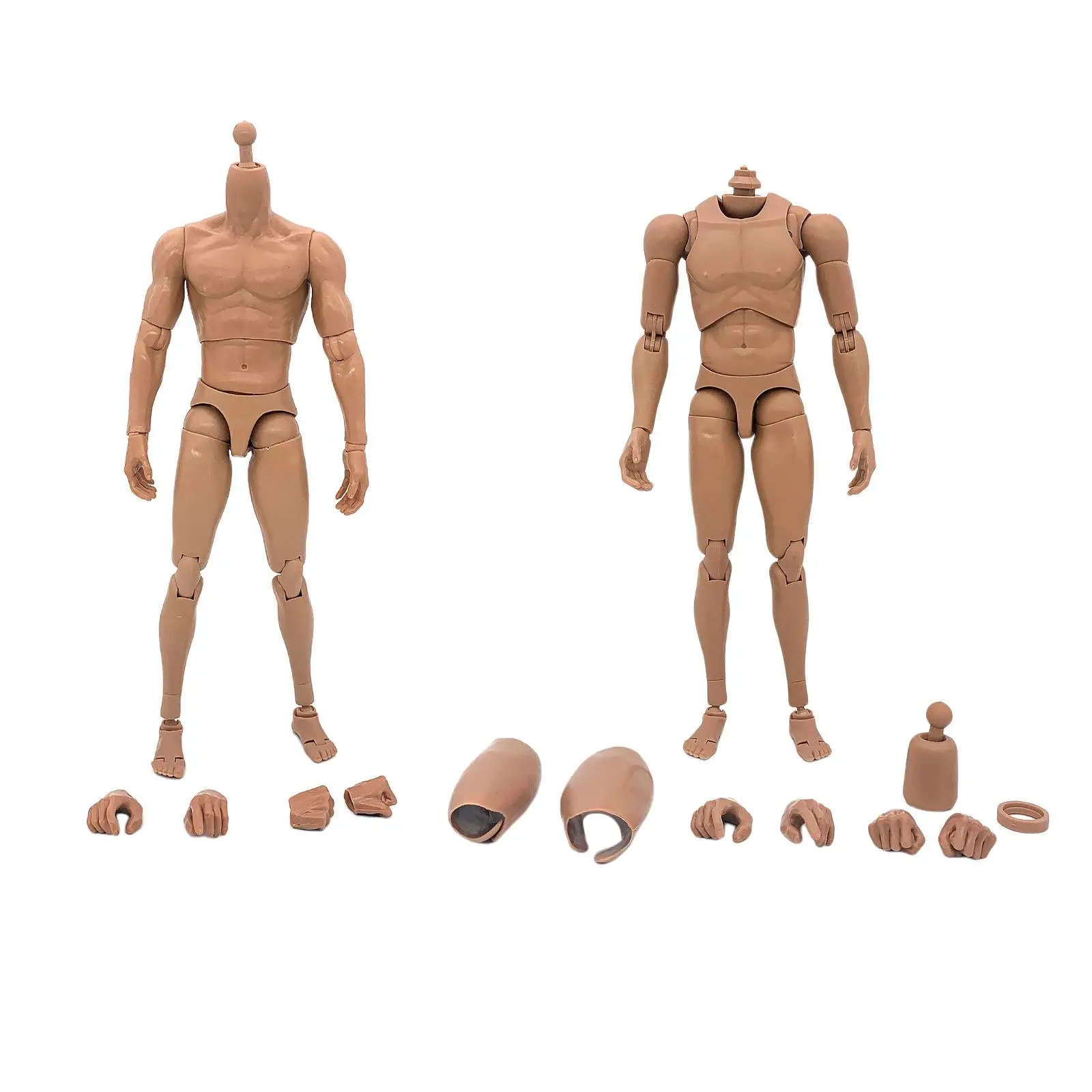 1/6 Action Figure 12`` Man Nude Skeleton Hands Photography Dolls Fits HT