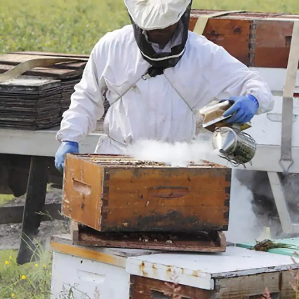 Beekeeping Manual  Maker Tool Supplies