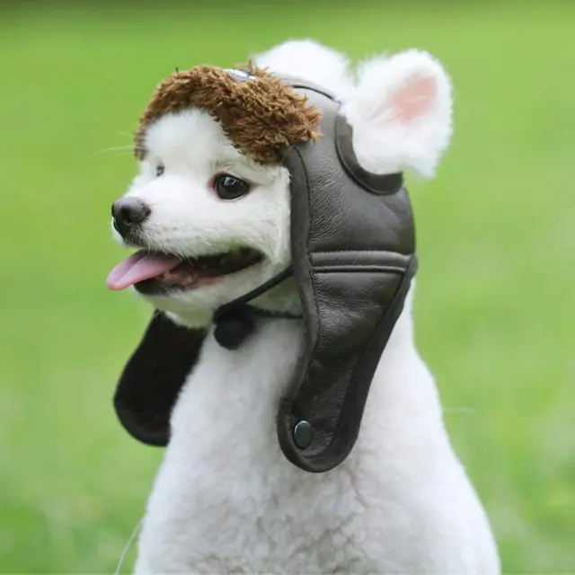 Arctic Air Dog Hat - Aviator Snow Hat