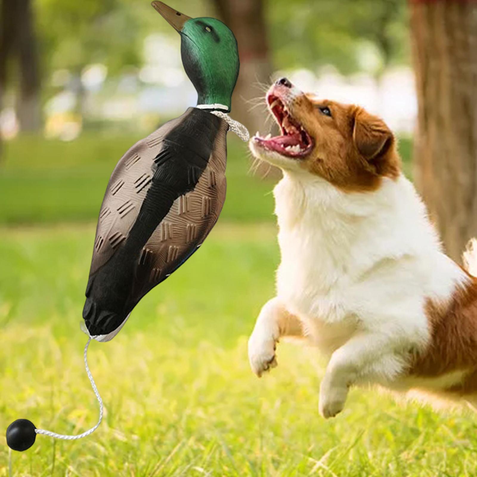 Mallard Duck Decoy Hunting Decoy Outdoor Scarecrow  Decor Lawn