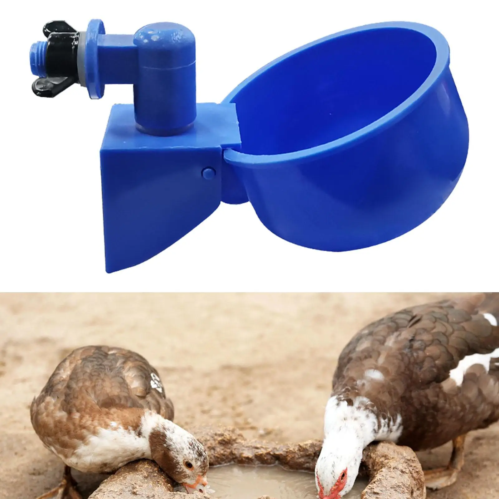 Plastic Chicken Drinkers Waterers Cup Feeder Bowls Automatic Leakproof Watering Cups for Pigeon Chicks Birds Ducks Poultry