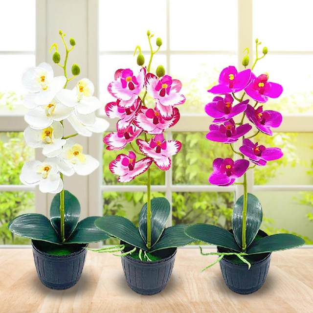 Acquista Vaso per fiori di orchidea artificiale, vetrina in plastica  dall'aspetto naturale, imitazione pianta in vaso, decorazioni per la casa