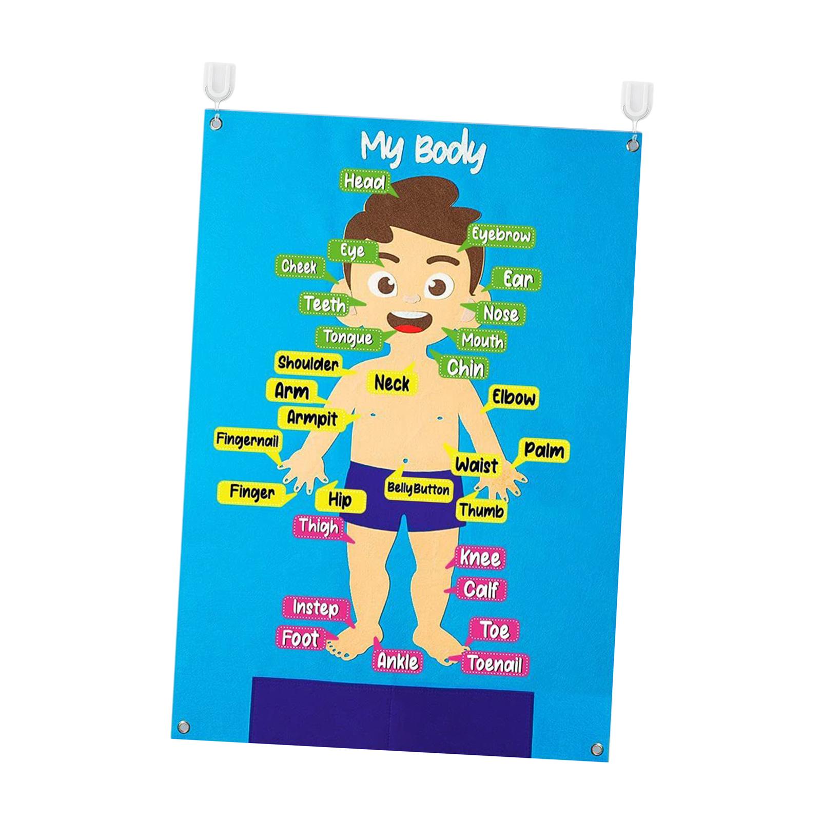 Learning Toy Felt Puzzle Busy Board Colorful Detachable Teaching Aids Body Parts Learning Felt Board Toddlers Preschool Infant