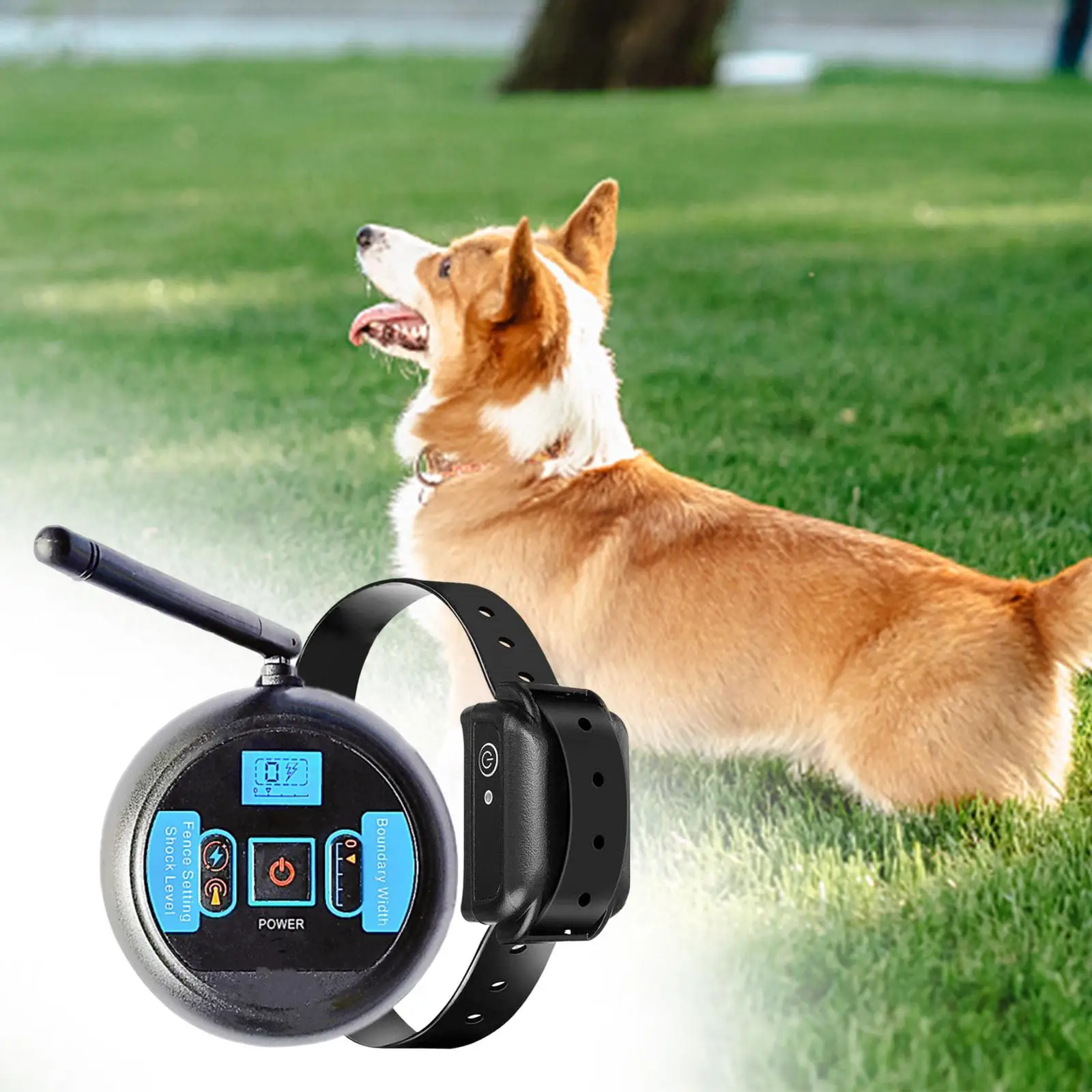 Dog Training Collar Behavior Correct with Remote 656ft Electric Dogs Fence