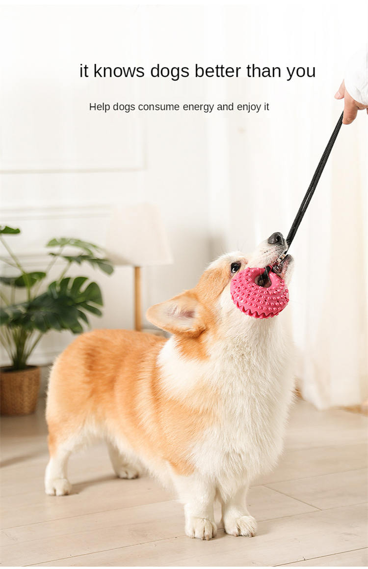 Dog Toys Silicon Suction Cup Tug Interactive Dog Ball Toy for Pet Chew Bite Tooth Cleaning Toothbrush Slow Food Pet Supplies