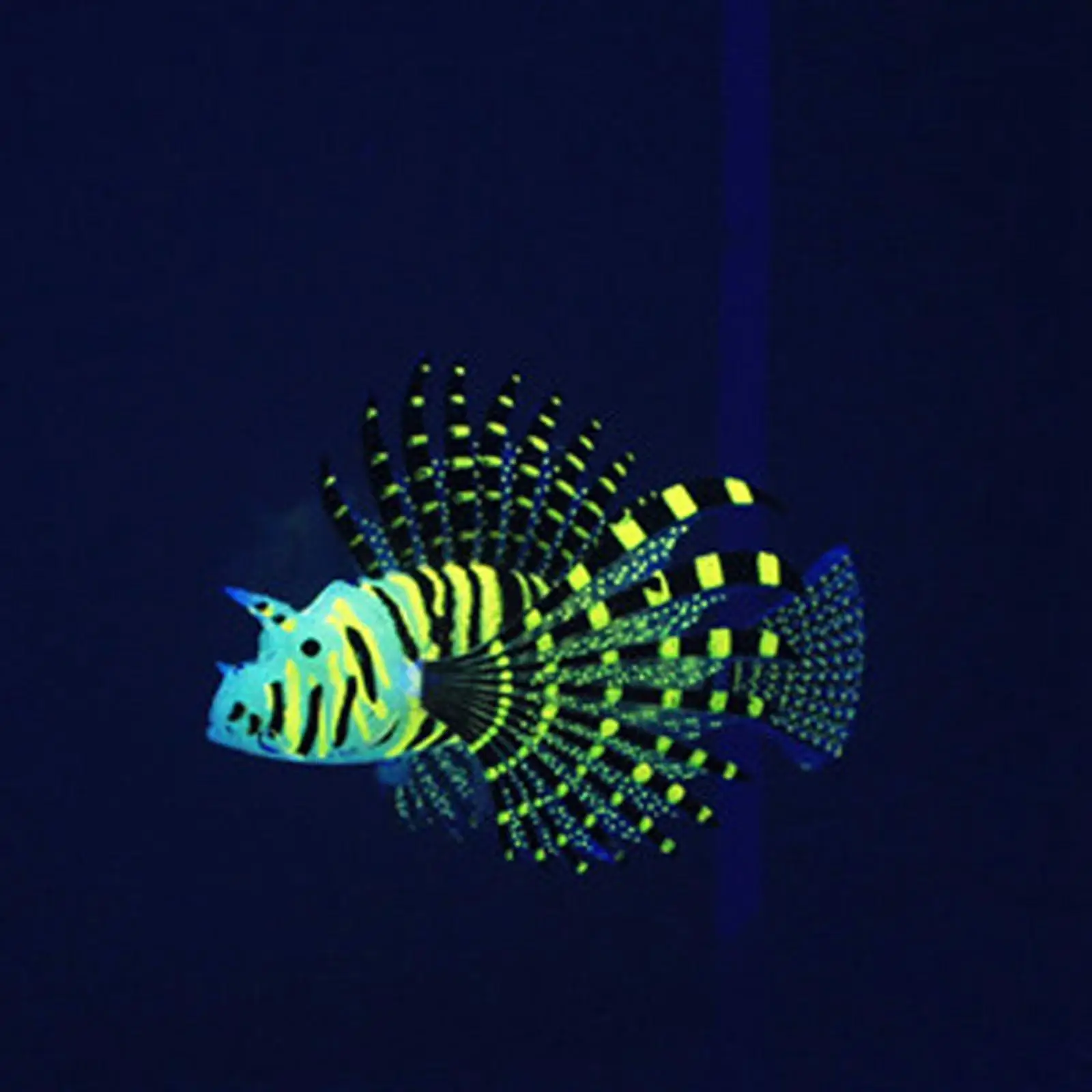 Small Lionfish Figurine Fake Fish Luminous Simulation Glow in Dark Fluorescent Miniature Decor Floating for Aquarium