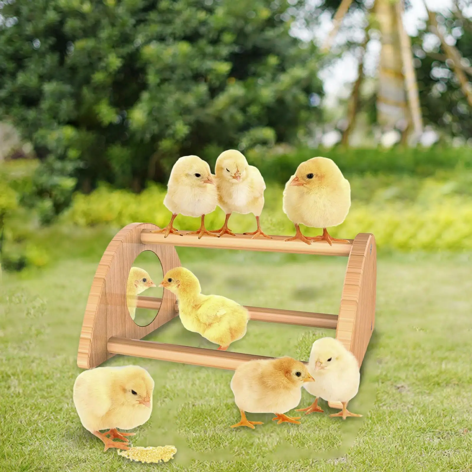 Chicken Perch Roosting Bar Chicken Toys with Mirror Wooden Training Perch Chicken Wood Stand for Macaw Chicken Coop Supplies