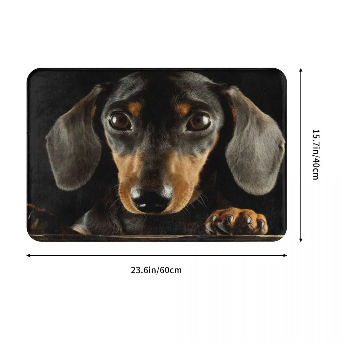 Dachshund Dog Portrait Doormat Floor Decor