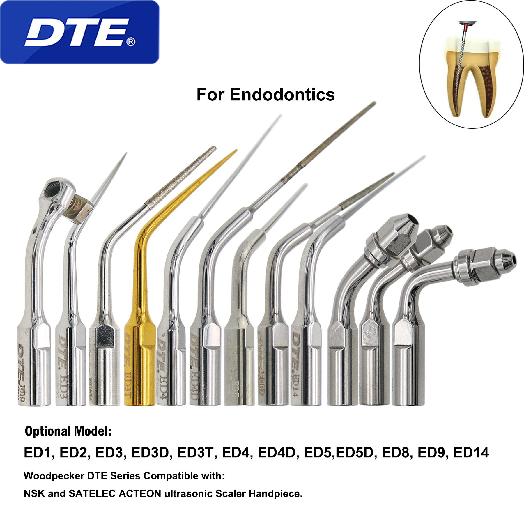 Best of Woodpecker DTE Dental Ultrasonic Perio Scaler Scaling Endodontics Tips Satalec ED-Series Fit SATELEC ACTEON NSK Scaler Handpiece Reviews & Tips