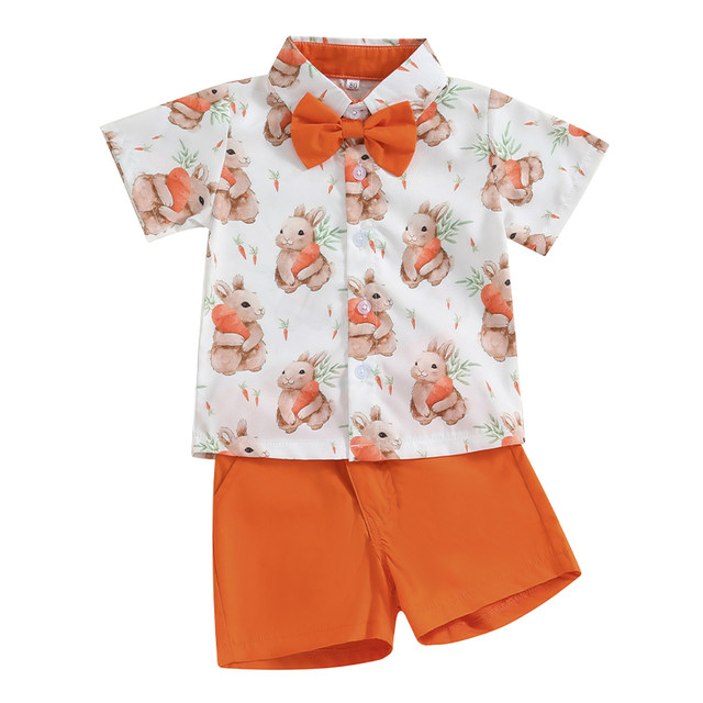Idée Cadeau Shower Costume Photo Lapin Bébé Nouveau-Né - Tenue Mignonne Pâques Avec Carotte - Séance Photo & Cadeau Jeux Lapin