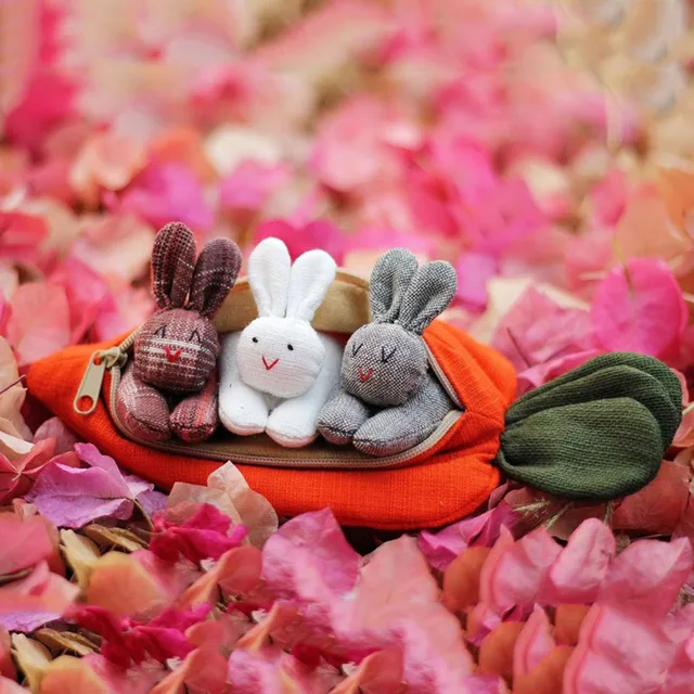 PW TOOLS Lapins à cache-cache dans une pochette carotte fraise Cadeau de  lapin de Pâques dézippez la poupée lapin dans un sac à main carotte fraise  Lapins mignons en peluche jouets en