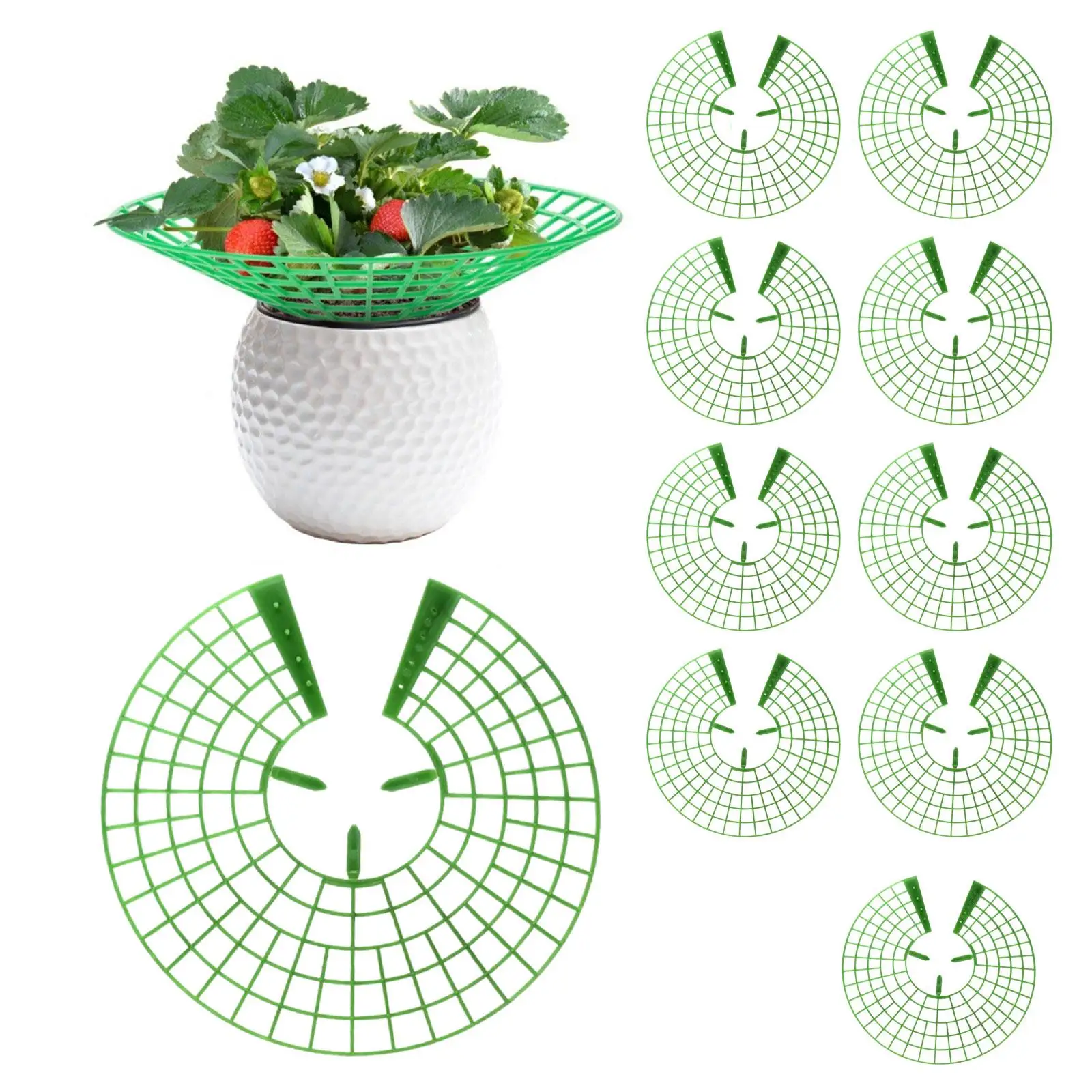 Multifunction Strawberry Supports Plant Growing Stand Plant Holder Durable Sturdy for Garden Tools