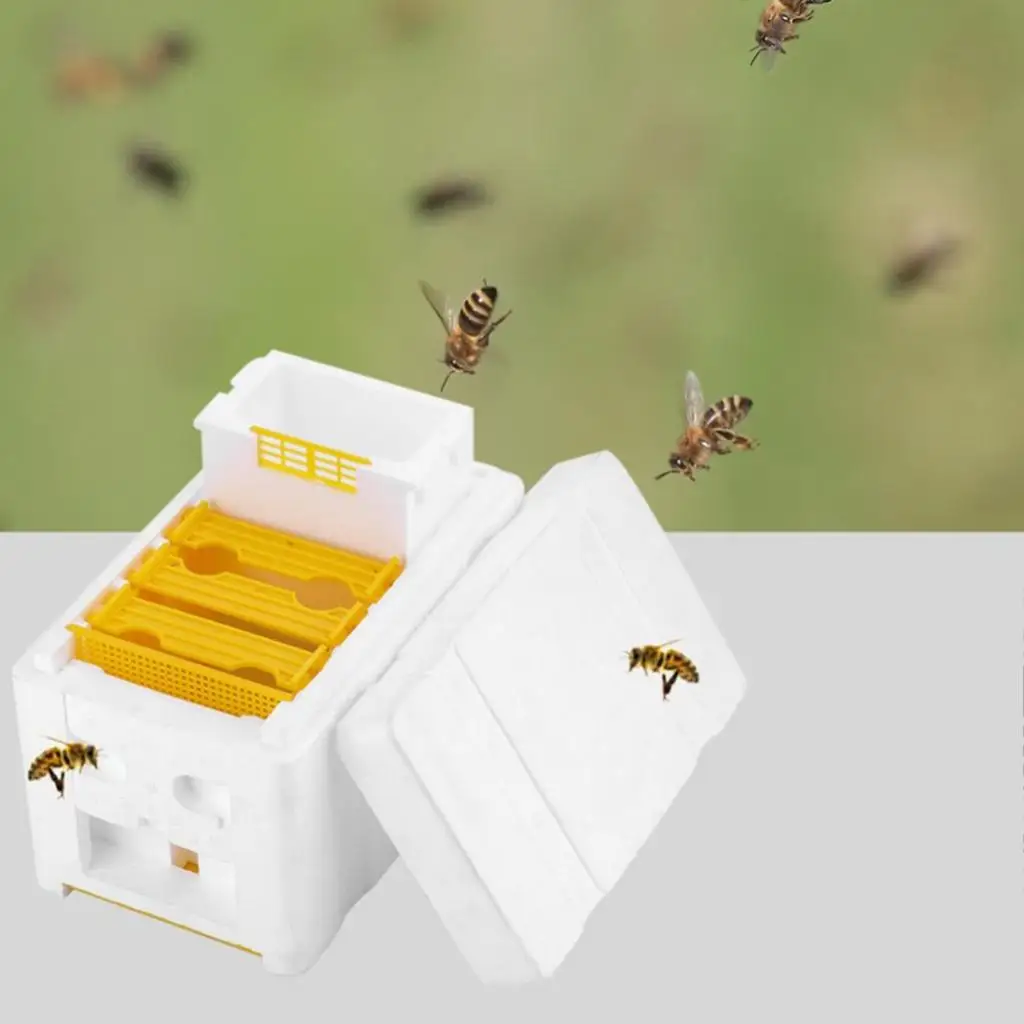 Premium Harvest Bee Hive Beehive Foam Comb Pollination Box Beekeeping Tool, Convenient