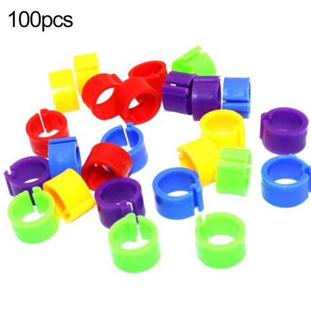 100 Anneaux De Jambe Pour Pigeons Et Oiseaux - 8mm - Plastique Réutilisable - Identification Couleurs Variables