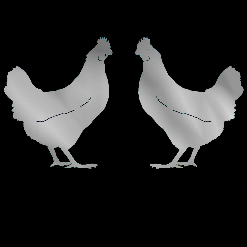 Auto Aufkleber Zwei Huhn Muster Persönlichkeit, Motorrad Aufkleber Produkte Dekoration Caravan Zubehör Abdeckung Kratzer Nette – Detail 5