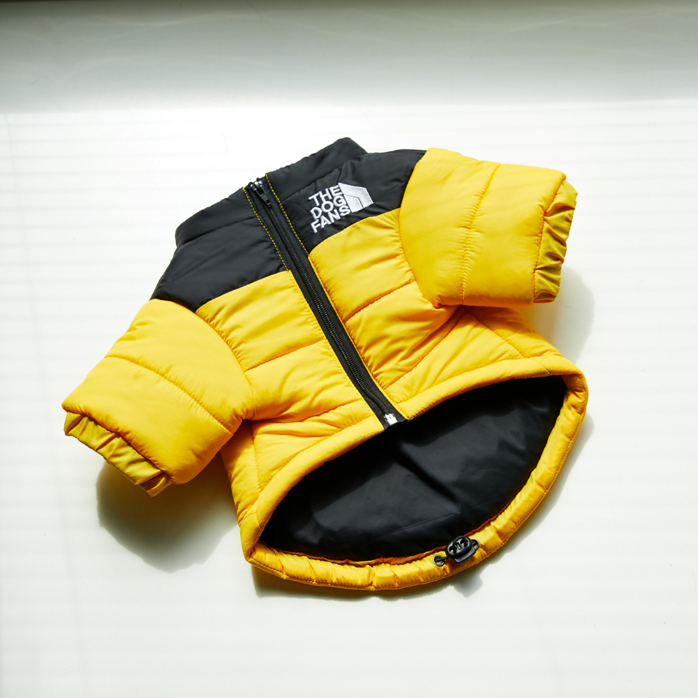 the dog face jacket yellow