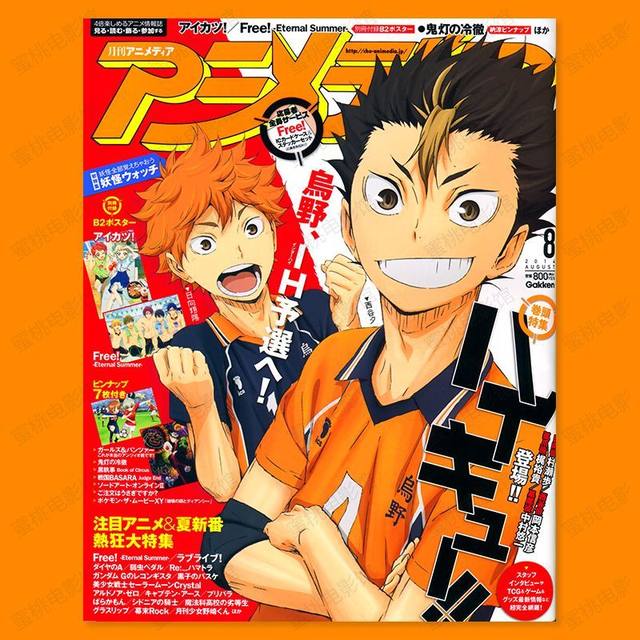 Buy Haikyuu!! All Characters Premium Wall Poster Stickers (45+ Designs) -  Posters