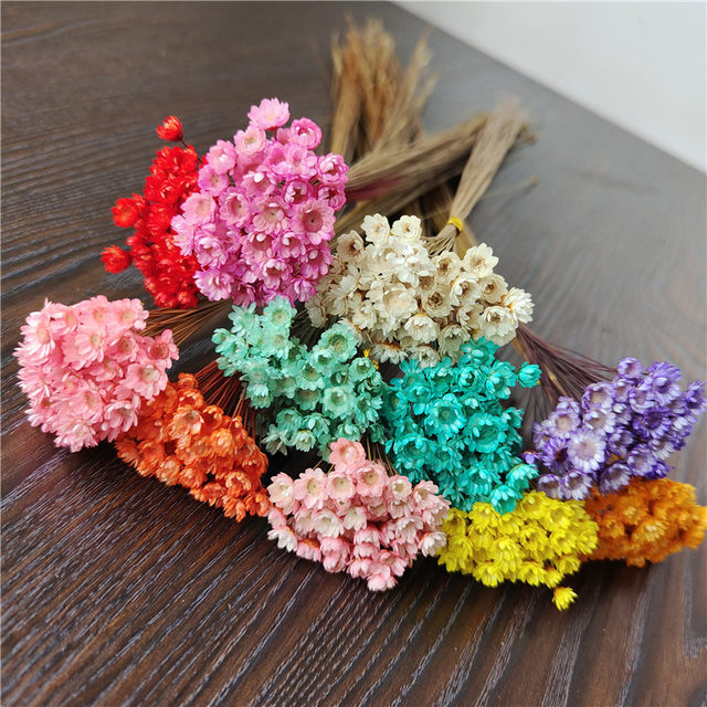 60pcs,Natural Eternal Rose mini star flowers,Dried Flower Bouquet for  Wedding Party Home Decoration accessories,Display flower