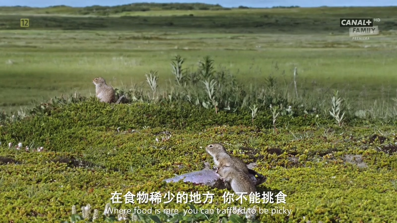 点击在新窗口打开